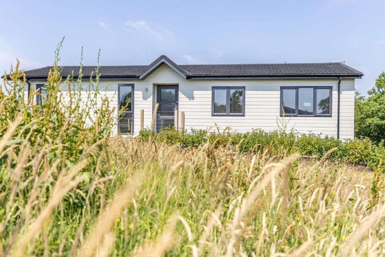 Rose Lodge, 21 Roadford Lake Lodges Lifton Exteriér fotografie